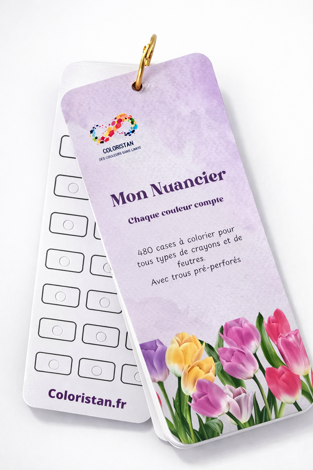 Nuancier à Colorier petit format: 240 cases + 240 cases verso avec trous perforés